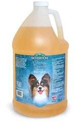 Bio Groom šampoon Protein/Lanolin, 3,8 l цена и информация | Косметические средства для животных | kaup24.ee