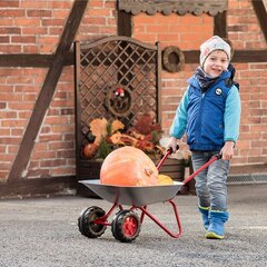 Laste käru, hall hind ja info | Mänguasjad (vesi, rand ja liiv) | kaup24.ee