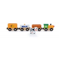 Magnetiga ühendatud rong Viga, põllumajandus hind ja info | Poiste mänguasjad | kaup24.ee