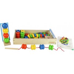 Suured puidust mängukaardid karbis hind ja info | Imikute mänguasjad | kaup24.ee