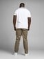 Jack & Jones meeste polosärk 12143859*02, valge 5715102757299 hind ja info | Meeste T-särgid | kaup24.ee