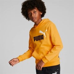 Puma laste dressipluus 586987*39, kollane/must 4065449134118 цена и информация | Свитеры, жилетки, пиджаки для мальчиков | kaup24.ee