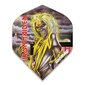 Tiivad Winmau Iron Maiden, paksus 100 mikronit, erinevad värvid цена и информация | Noolemängud | kaup24.ee