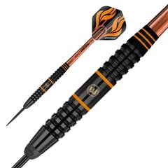 Nooled Winmau Scott Waites, 18/20 g цена и информация | Дартс | kaup24.ee