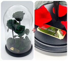 Roos klaasis Trinity, Roheline (kõrgus 30 cm / laius 19 cm) + graveeringuga hind ja info | Uinuvad roosid, taimed | kaup24.ee