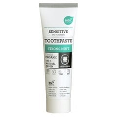 Toothpaste Strong Mint, 75ml цена и информация | Для ухода за зубами | kaup24.ee