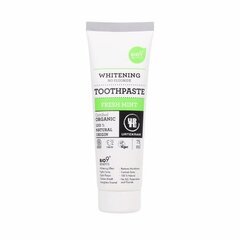 Toothpaste Fresh Mint, 75ml цена и информация | Для ухода за зубами | kaup24.ee