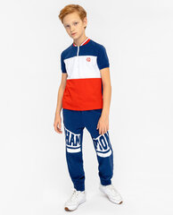 Футболка с коротким рукавом для мальчиков Gulliver цена и информация | Рубашки для мальчиков | kaup24.ee