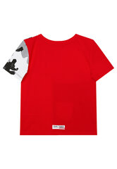 Футболка составная с принтом для мальчиков Gulliver цена и информация | Рубашки для мальчиков | kaup24.ee