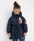 Tüdrukute kevad-sügis mantel taskute ja silmustega tikandiga Gulliver hind ja info | Laste talveriided | kaup24.ee