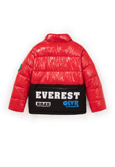 Демисезонная куртка для мальчиков Gulliver, с отстегивающимся капюшоном цена и информация | Зимняя одежда для детей | kaup24.ee