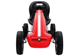 Миниатюрный картинг Gokart Abarth, красный цена и информация | Игрушки для мальчиков | kaup24.ee