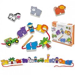 Puidust klotsid nööriga - Safarid hind ja info | Imikute mänguasjad | kaup24.ee