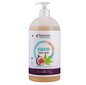 Viigimarja-kanepi šampoon, 950 ml цена и информация | Šampoonid | kaup24.ee
