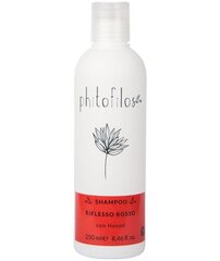 Shampoo for Red Hair, 250ml цена и информация | Шампуни | kaup24.ee