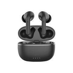 Forever Bluetooth ANC earphones TWE-210 Earp black hind ja info | Forever Sisend ja väljundseadmed | kaup24.ee