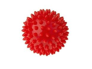 Массажный мяч, красный, 7,6 см цена и информация | Аксессуары для массажа | kaup24.ee
