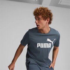 Puma meeste T-särk 586667*10, hall hind ja info | Meeste T-särgid | kaup24.ee