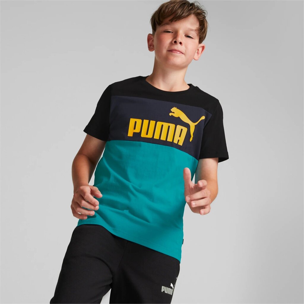 Puma laste T-särk 846127*27, tumehall/aqua hind ja info | Poiste särgid | kaup24.ee