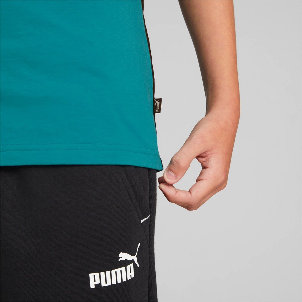 Puma laste T-särk 846127*27, tumehall/aqua цена и информация | Poiste särgid | kaup24.ee