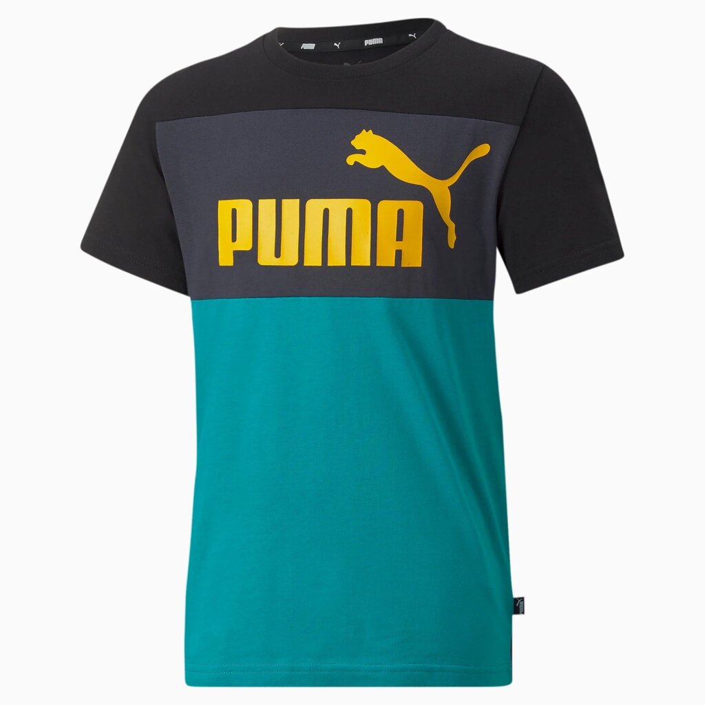 Puma laste T-särk 846127*27, tumehall/aqua цена и информация | Poiste särgid | kaup24.ee