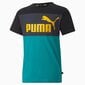 Puma laste T-särk 846127*27, tumehall/aqua hind ja info | Poiste särgid | kaup24.ee