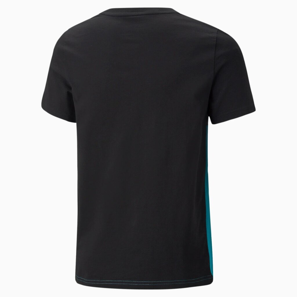 Puma laste T-särk 846127*27, tumehall/aqua цена и информация | Poiste särgid | kaup24.ee