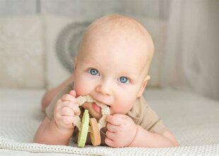 Baby Teether - kalane hind ja info | Närimislelud | kaup24.ee