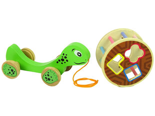 Puidust sorteerija nööriga - Kilpkonn - Turtle hind ja info | Imikute mänguasjad | kaup24.ee