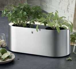 WMF Ambient Herbs@Home hind ja info | Dekoratiivsed lillepotid | kaup24.ee