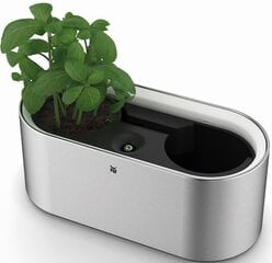 WMF Ambient Herbs@Home цена и информация | Вазоны | kaup24.ee