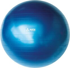 Мяч гимнастический Yate, 100 см цена и информация | Гимнастические мячи | kaup24.ee