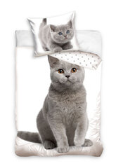 Voodipesukomplekt Cat, 140 x 200 + 60 x 70, 2 osa hind ja info | Beebide ja laste voodipesu | kaup24.ee