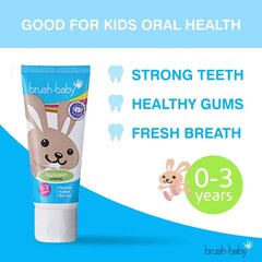 Детская зубная паста от 0-3 лет Brush Baby Toothpaste Applemint Art.BRB127, 50 мл цена и информация | Для ухода за зубами | kaup24.ee