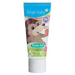 Детская зубная паста для прорезывающихся зубов от 0-2 лет Brush Baby Toothpaste Art.BRB03, 50 мл цена и информация | Для ухода за зубами | kaup24.ee