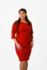 Naiste kleit Barba-Tex, punane цена и информация | Платья | kaup24.ee