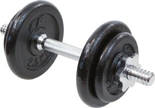 Reguleeritavad raskused Eb Fit, 10 kg цена и информация | Гантели, гири, штанги | kaup24.ee