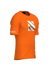 Летняя футболка Rest Day - Orange Casual цена и информация | Мужские футболки | kaup24.ee