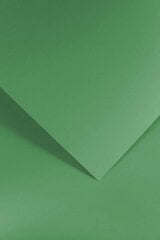 Tekstuurne kartong Gladki, roheline цена и информация | Канцелярские товары | kaup24.ee