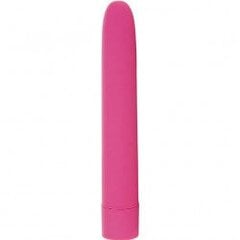 Eezy Pleezy Bullet Vibrator - roosa hind ja info | Vibraatorid | kaup24.ee