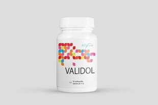 Toidulisand Validol 30 tabletti hind ja info | Vitamiinid, toidulisandid, preparaadid tervise heaoluks | kaup24.ee