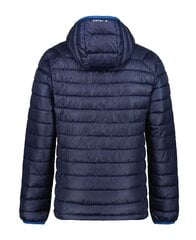 Мужская куртка Icepeak Bagley 56010-2*390, тёмно-синяя цена и информация | Мужские куртки | kaup24.ee