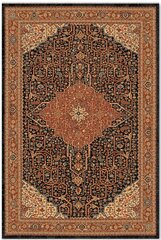 Vaip Antique 160x230 cm hind ja info | Vaibad | kaup24.ee