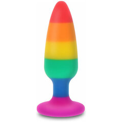 TOYJOY Pride Rainbow Hunk Plug Mitmevärviline hind ja info | Anaallelud | kaup24.ee