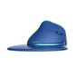 Wireless Ergonomic Mouse Delux M618XSD BT+2.4G RGB (blue) hind ja info | Hiired | kaup24.ee
