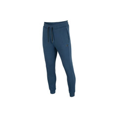 Мужские брюки 4F джинсовые H4L22 SPMD350 32S цена и информация | Мужская спортивная одежда | kaup24.ee