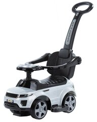 Детский автомобиль с ручкой, серый цена и информация | Игрушки для малышей | kaup24.ee