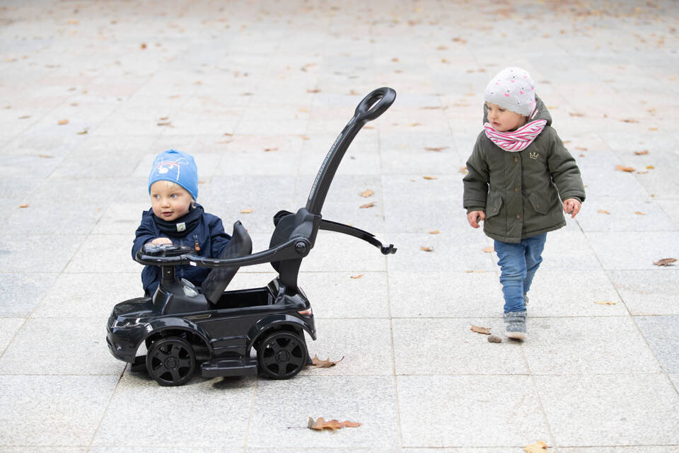 Roller käepidemega, hall hind ja info | Imikute mänguasjad | kaup24.ee