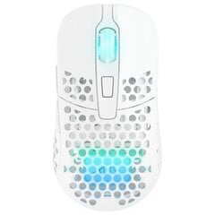 Xtrfy M42 Wireless RGB, белый цена и информация | Мыши | kaup24.ee