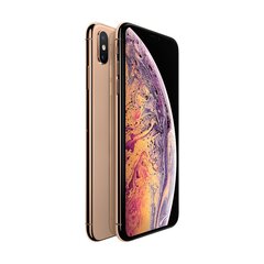 Apple iPhone XS Max 64GB Gold hind ja info | Telefonid | kaup24.ee